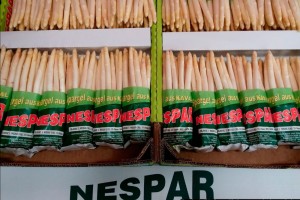 nespar(4)